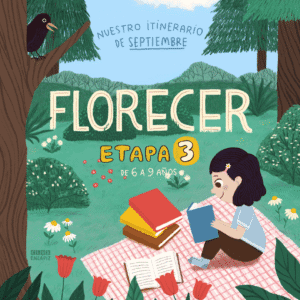 Etapa 3