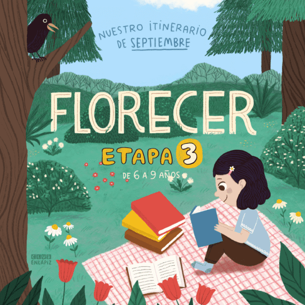 Etapa 3