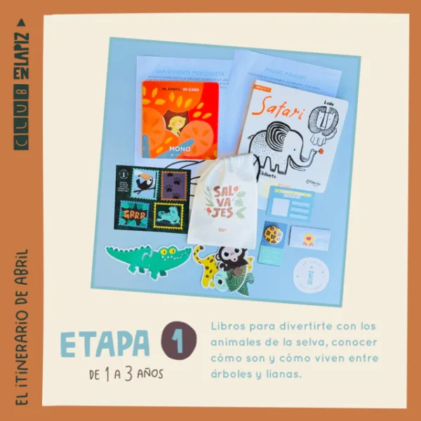 Etapa 1 84474ec053bedc2b0d17112232511548 640 0