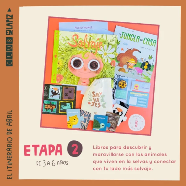 Etapa 2 208e944f8de067e03817112232677224 640 0